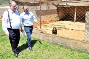 O canil visitado pelos deputados existe desde 2010 e atualmente é ocupado por 123 cães adultos e 29 filhotes - Foto: Pollyanna Maliniak (ALMG)